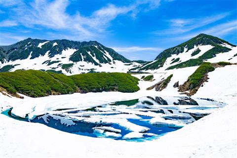みくりが池（6月頃撮影）　C立山黒部ｱﾙﾍﾟﾝﾙｰﾄ